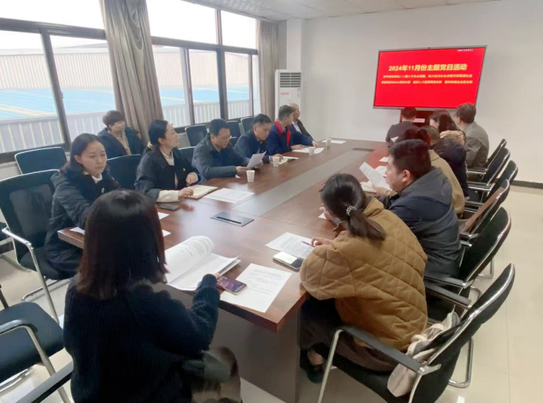 深入學(xué)習(xí)黨的二十屆三中全會(huì)精神，開(kāi)展主題黨日活動(dòng)